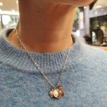 Carica l&#39;immagine nel visualizzatore di Gallery, Collana girocollo in argento con 4 charms con zirconi